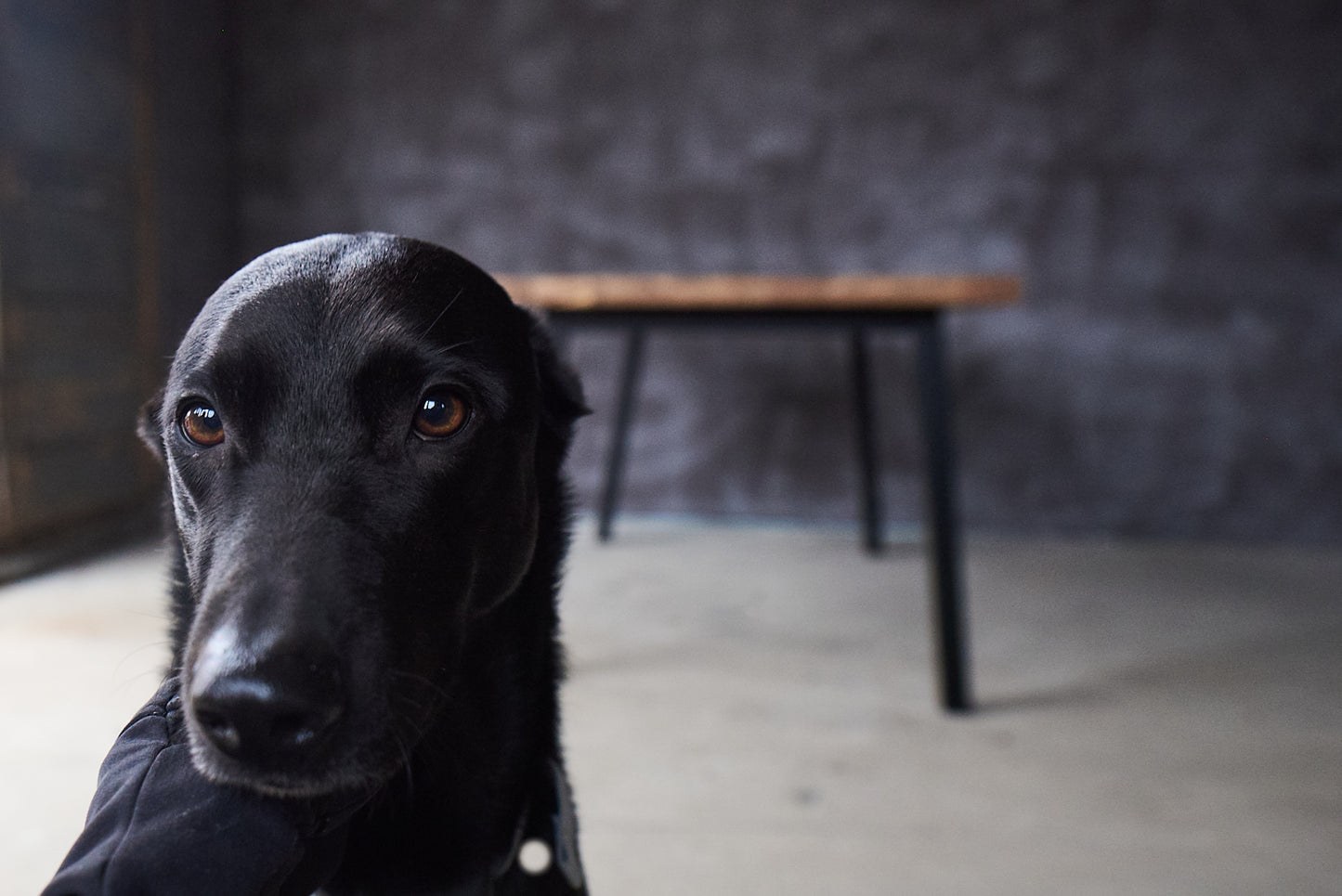 Ąžuolinis valgomojo stalas „Linea“