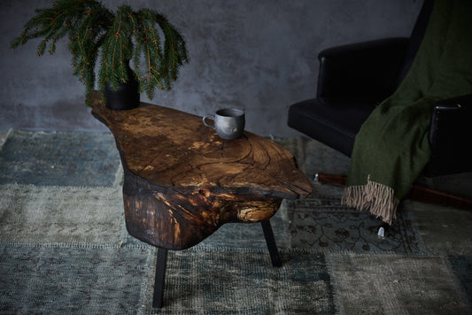 Kavos staliukas „Wing“