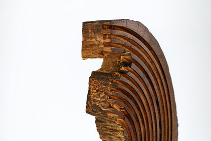 Skulptūra „Ciklas“