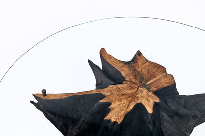 Kavos staliukas „Roots“