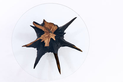 Kavos staliukas „Roots“