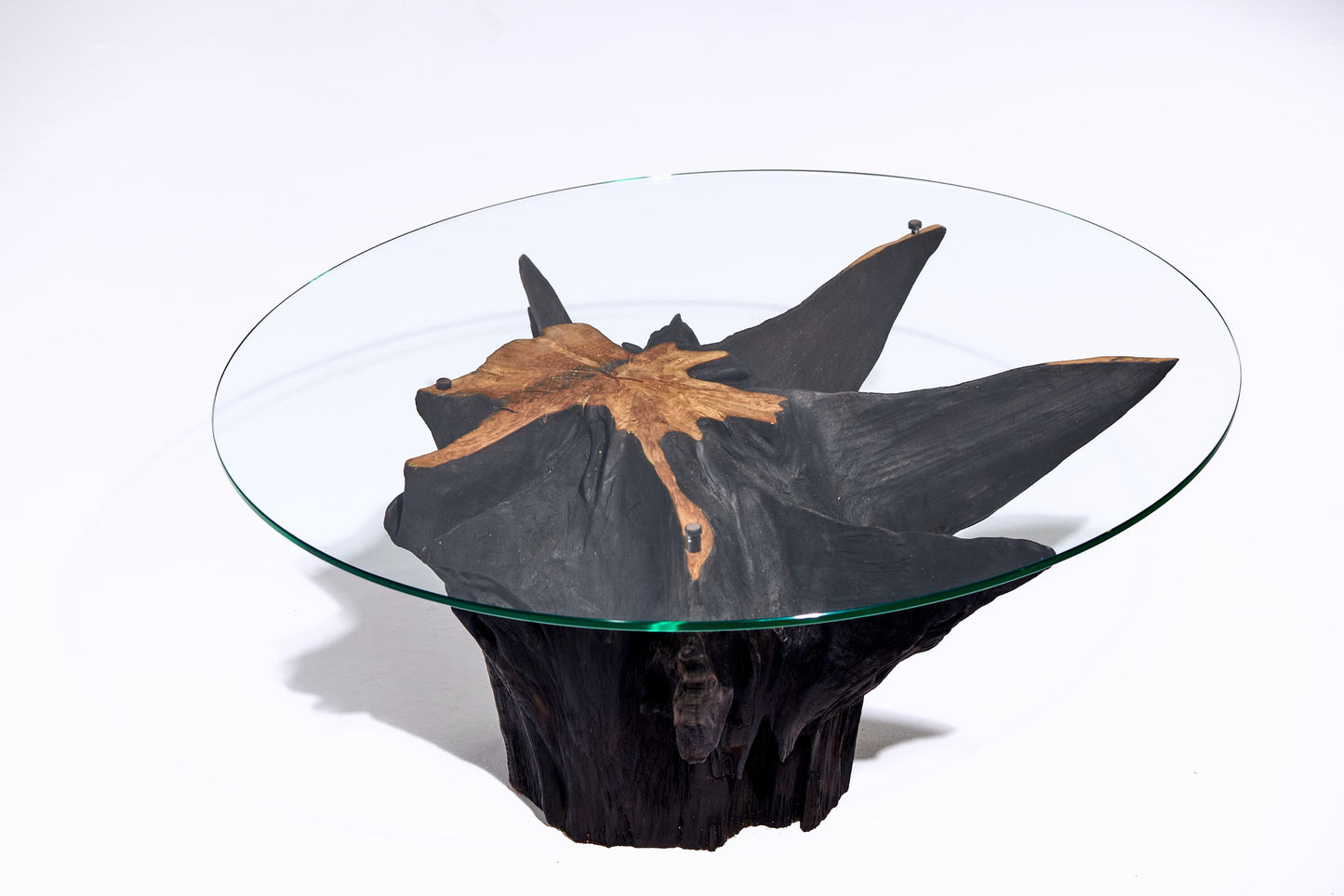 Kavos staliukas „Roots“