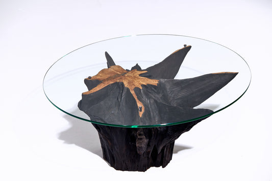 Kavos staliukas „Roots“