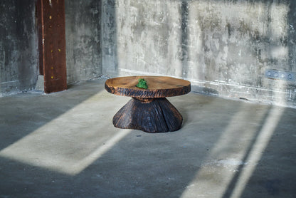 Ąžuolinis staliukas „Žemė“