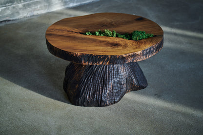 Ąžuolinis staliukas „Žemė“