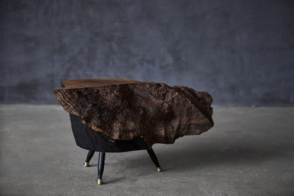 Staliukas „Raven“