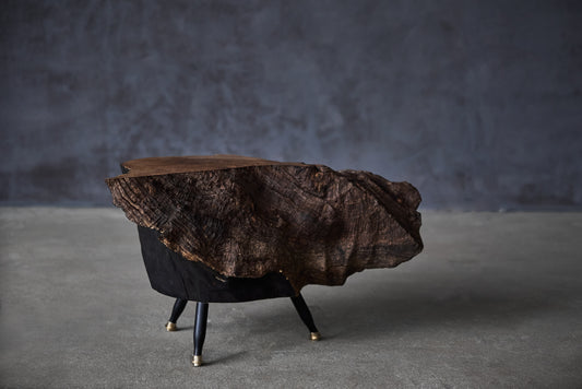 Staliukas „Raven“