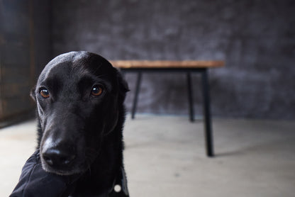 Ąžuolinis valgomojo stalas „Linea“