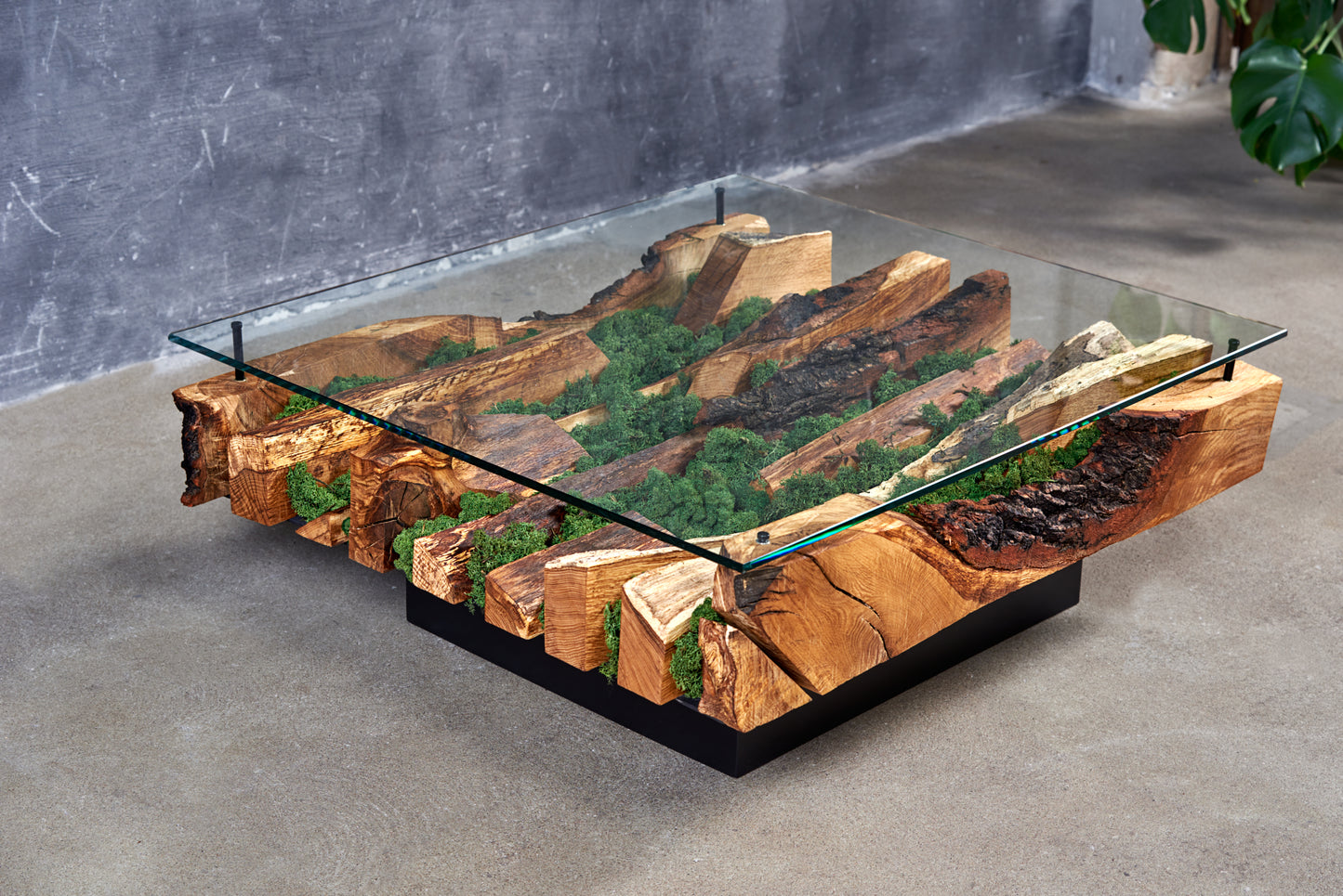 Staliukas „Kraštovaizdis“