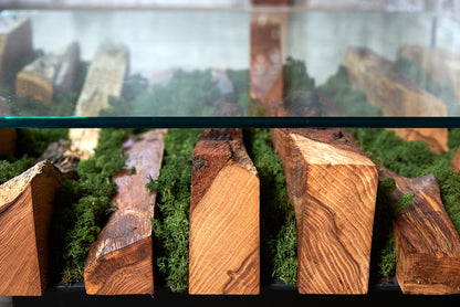 Staliukas „Kraštovaizdis“