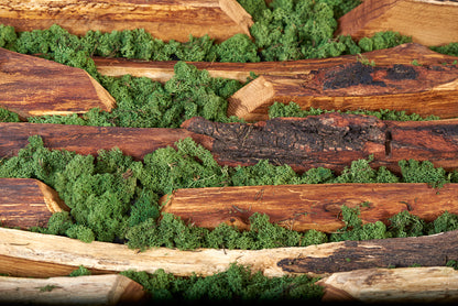 Staliukas „Kraštovaizdis“