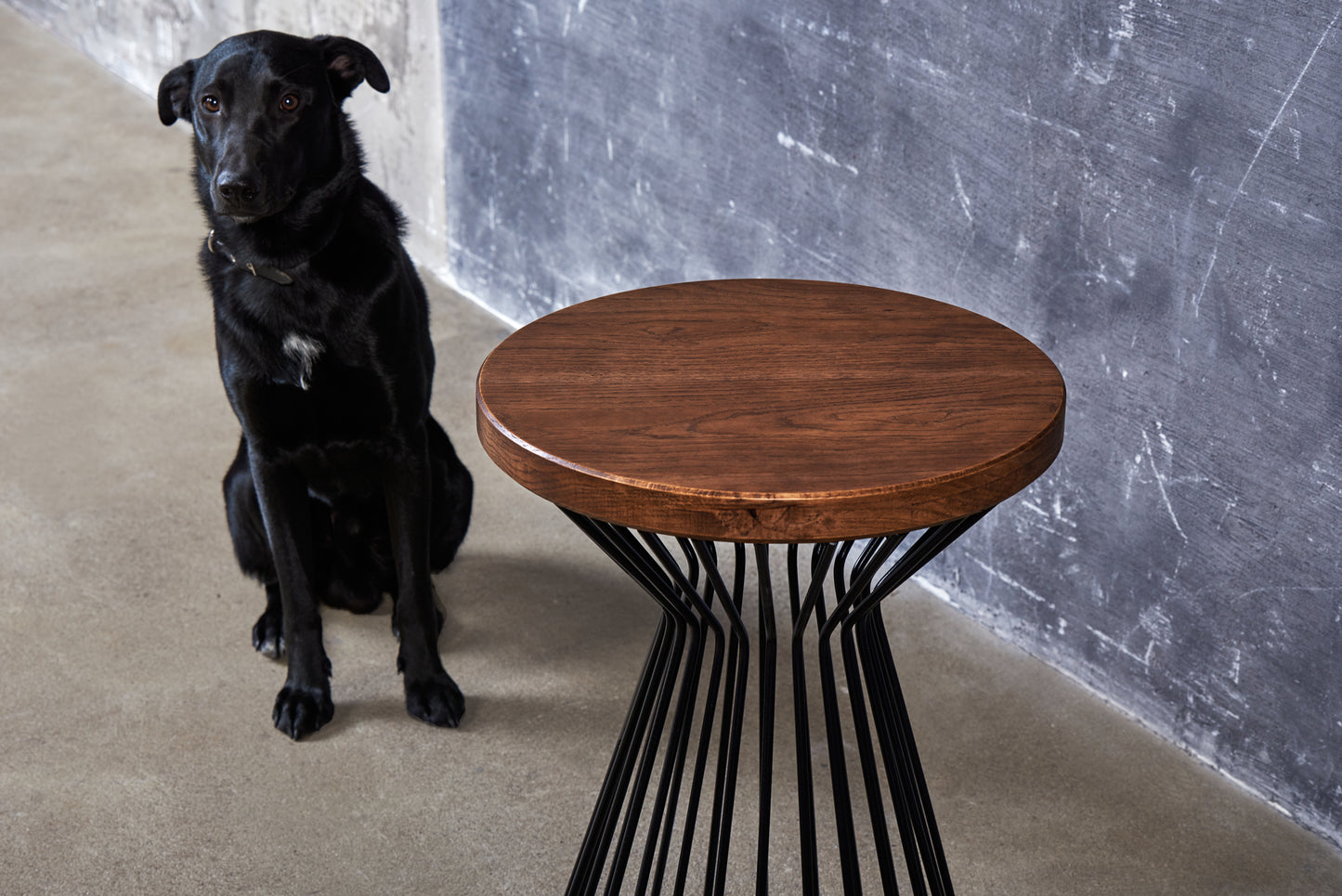 Metalo ir ąžuolo šoninis staliukas „Spin“