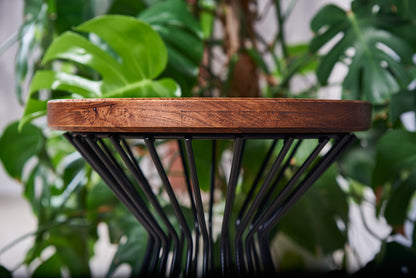 Metalo ir ąžuolo šoninis staliukas „Spin“