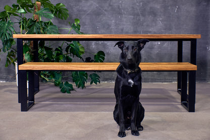 Ąžuolinis valgomojo stalas su suolu – „RAW Line“