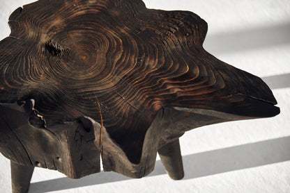 Eglinis staliukas „Šaknis“