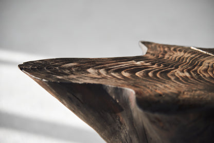 Eglinis staliukas „Šaknis“