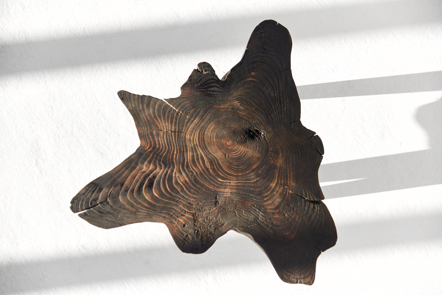 Eglinis staliukas „Šaknis“