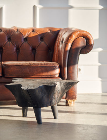 Eglinis staliukas „Šaknis“