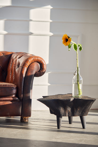 Eglinis staliukas „Šaknis“