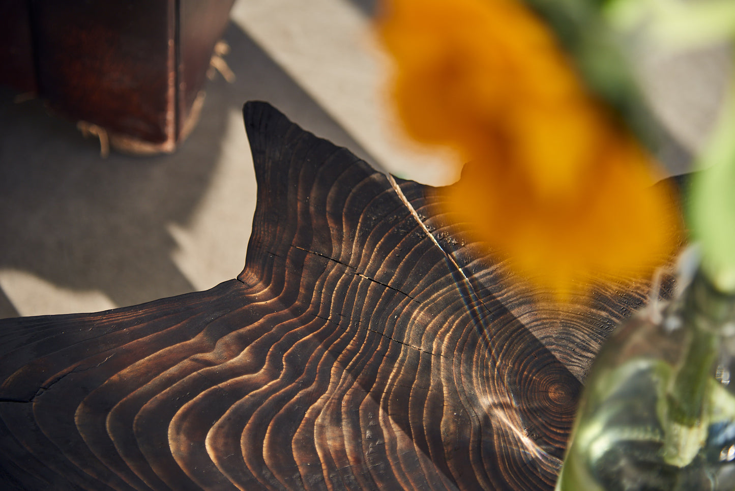 Eglinis staliukas „Šaknis“