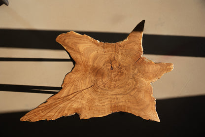 Ąžuolinis kavos staliukas "Jūros žvaigždė"