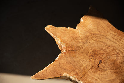 Ąžuolinis kavos staliukas "Jūros žvaigždė"