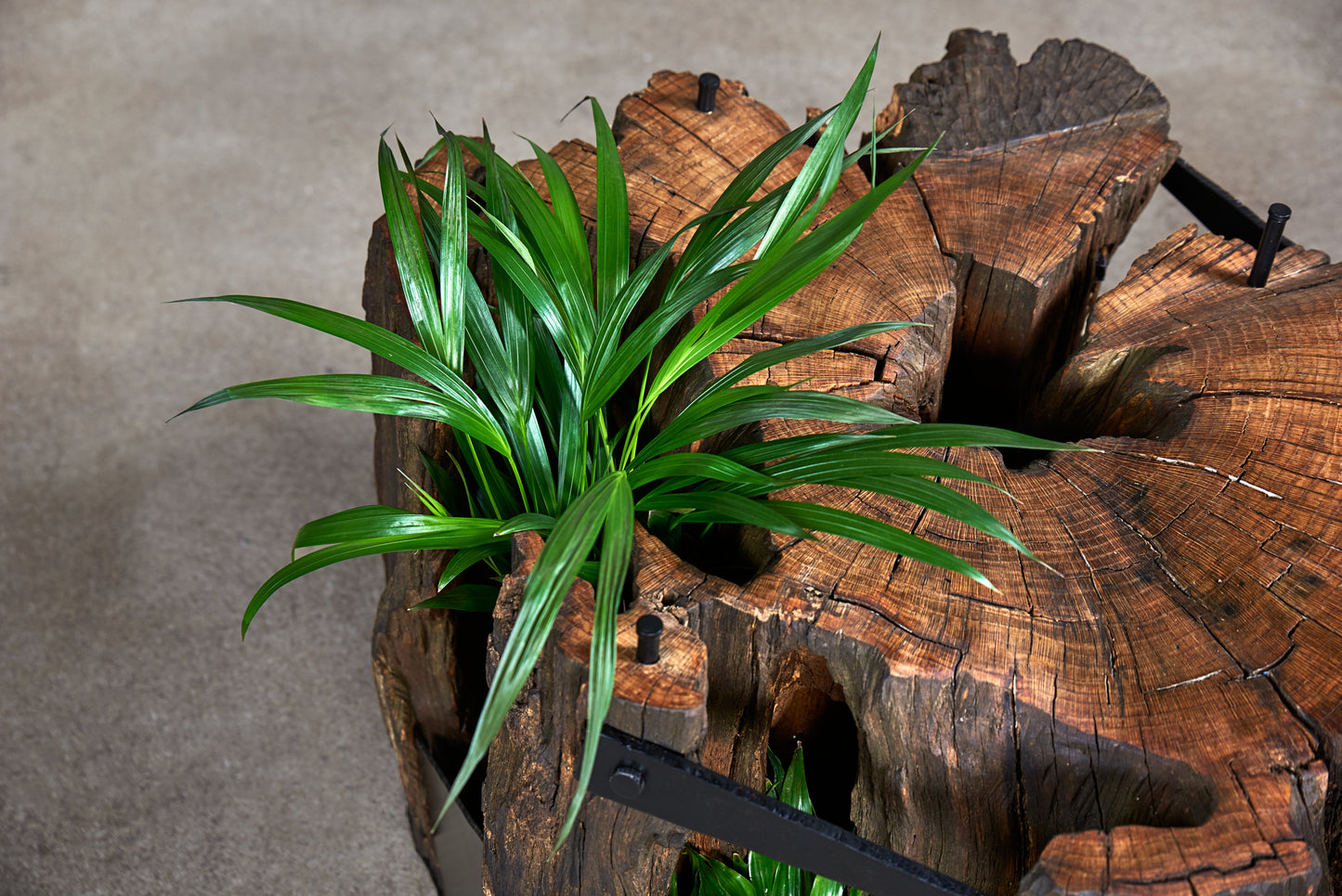 Staliukas „Keltas“