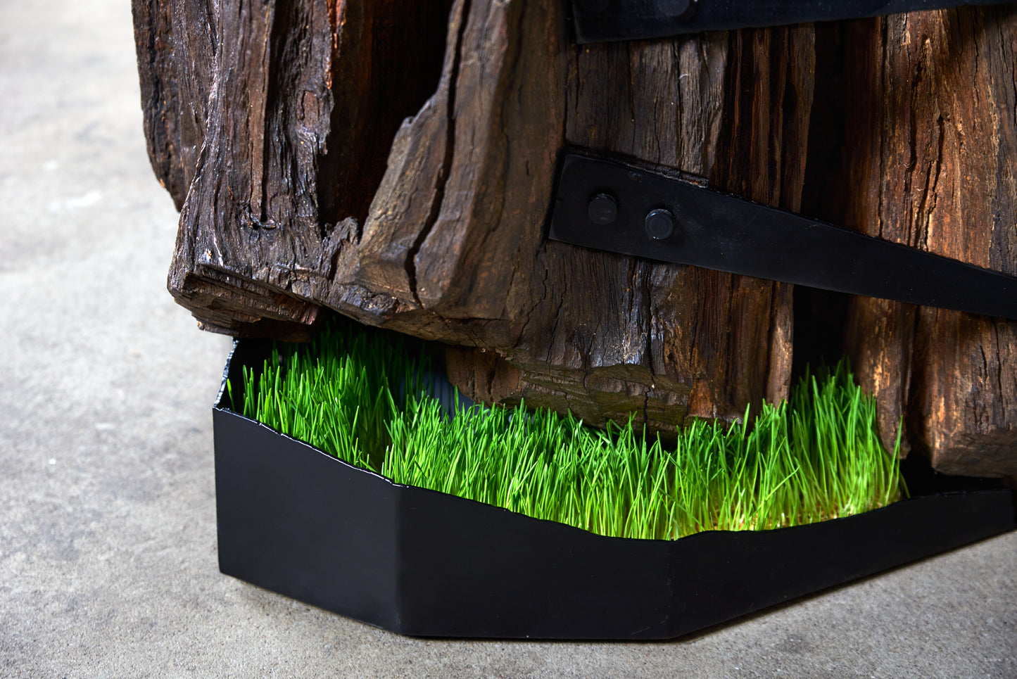 Staliukas „Keltas“