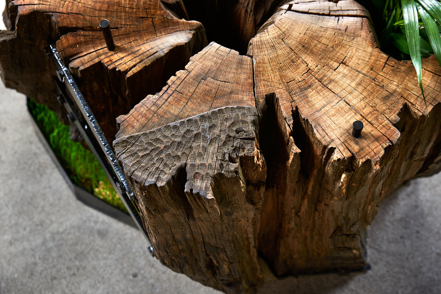 Staliukas „Keltas“