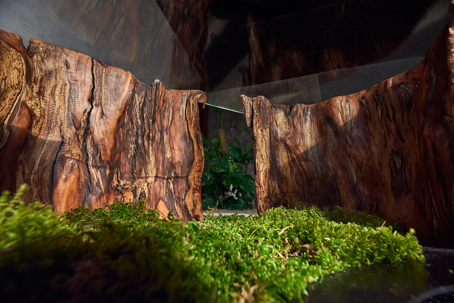 Staliukas „Oazė“