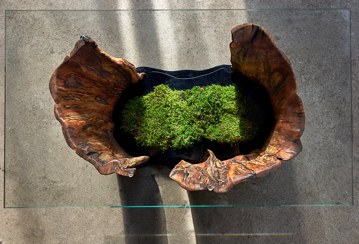 Staliukas „Oazė“