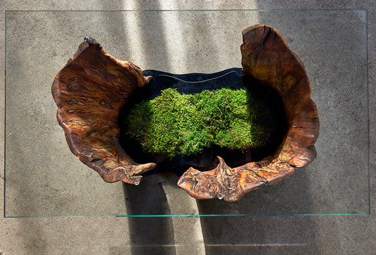 Staliukas „Oazė“