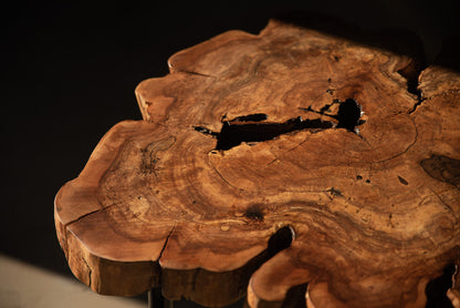 Skulptūrinis obels kavos staliukas su epoksidu