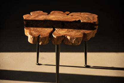 Skulptūrinis obels kavos staliukas su epoksidu