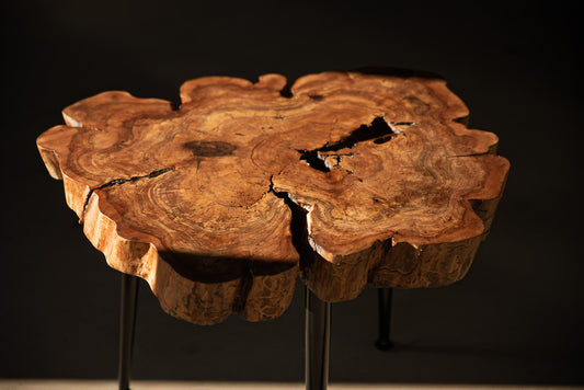 Skulptūrinis obels kavos staliukas su epoksidu