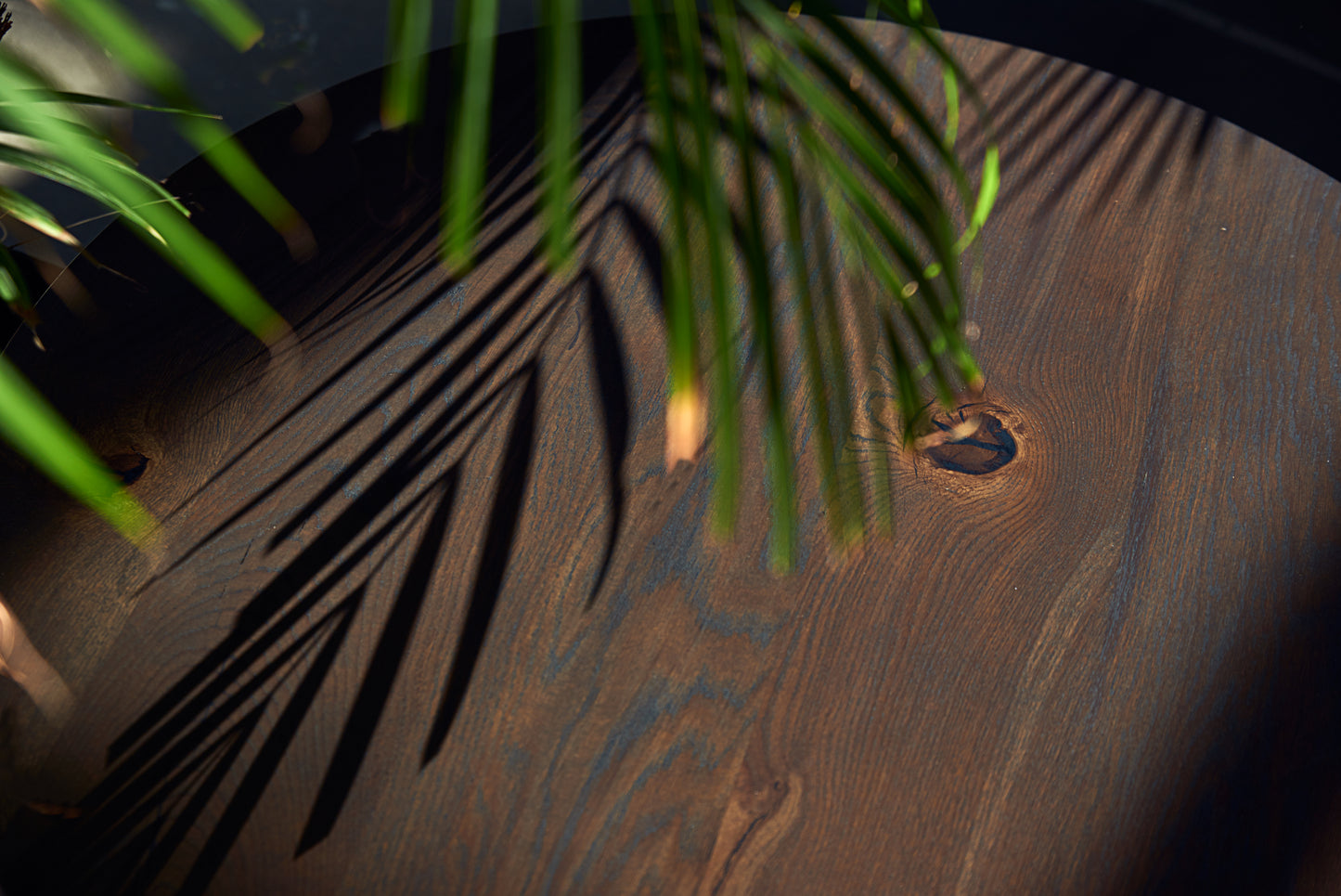 Staliukas „Brolis 2.0“